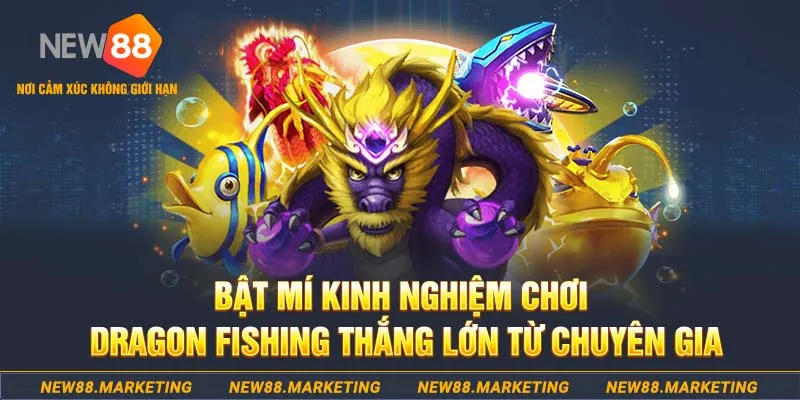 Bật mí kinh nghiệm chơi Dragon fishing thắng lớn từ chuyên gia 