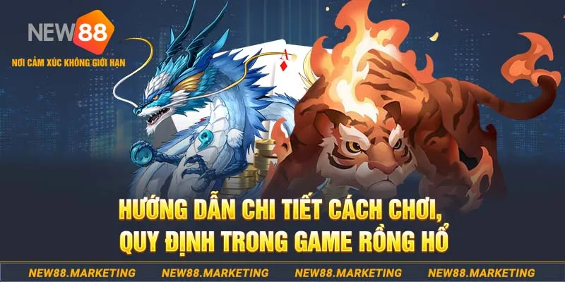 Hướng dẫn chi tiết cách chơi quy định trong game rồng hổ